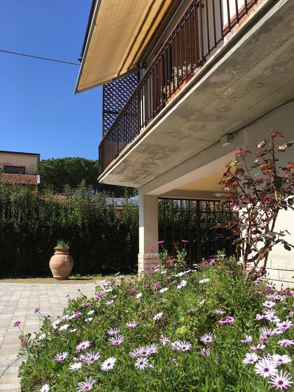 La Casa Di Nila Apartment Pisa Bagian luar foto